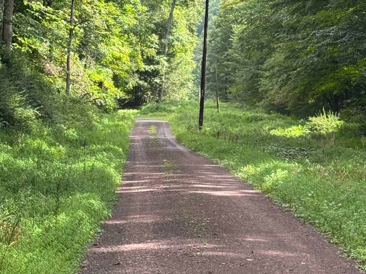 Rock Run Road photo 3