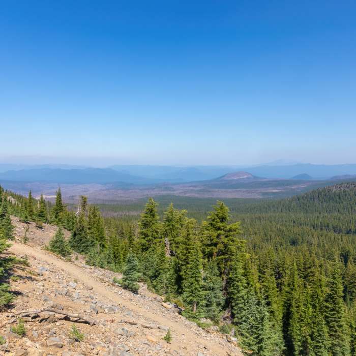 Near Mount Thielsen Trail #1456