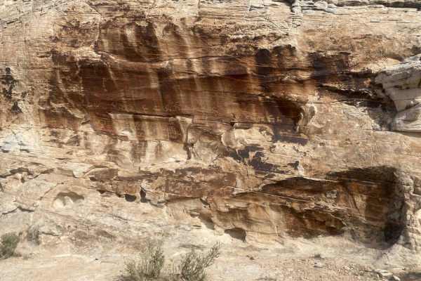 Gold Butte to 21 Goats
