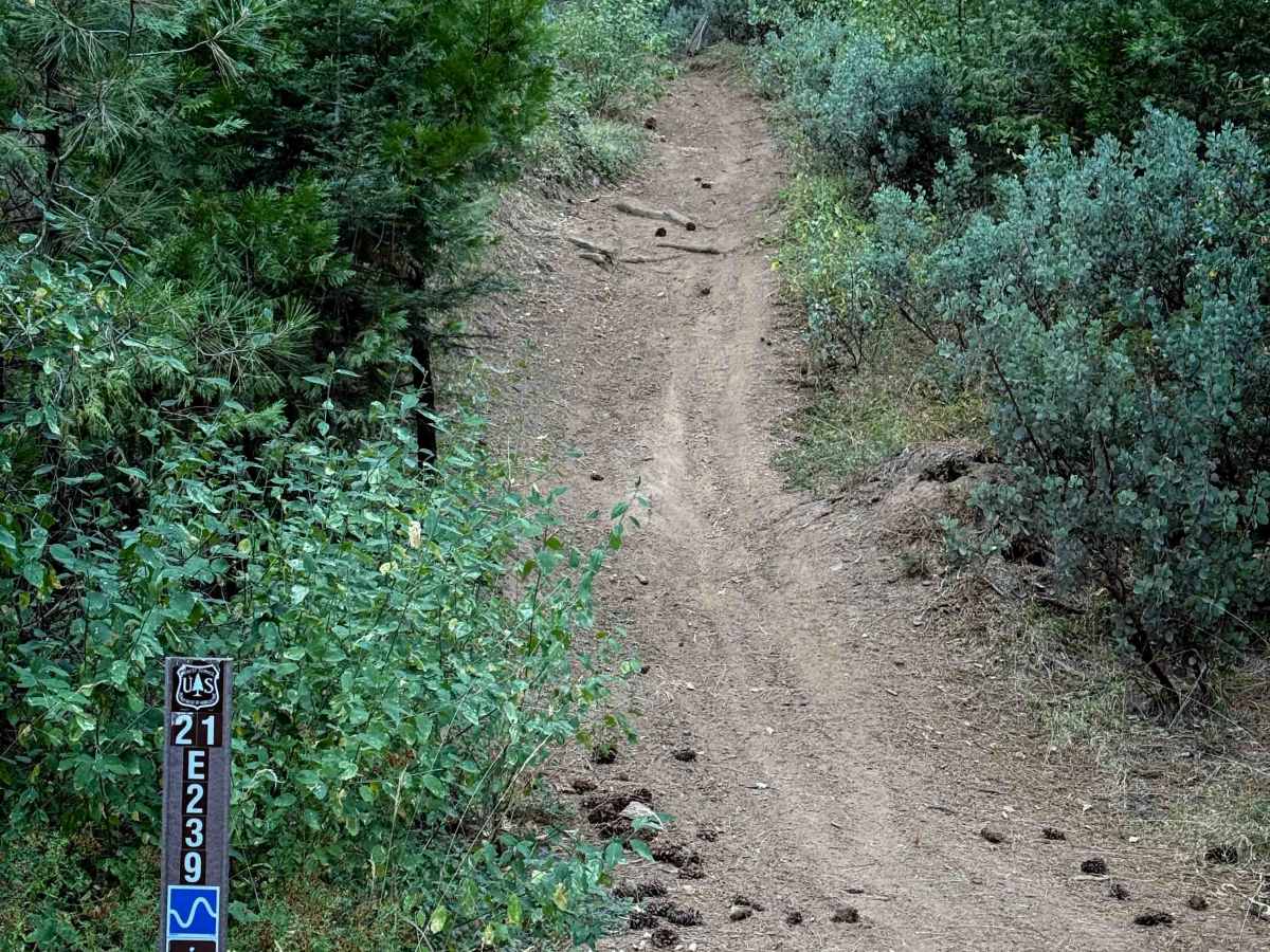 21E239 trail photo