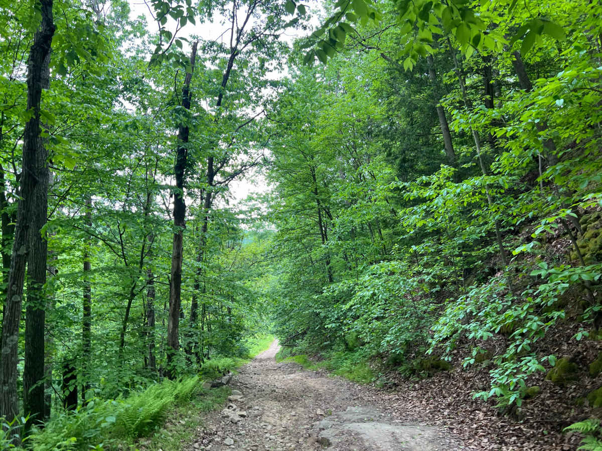 Q65 - Horsemill Hollow photo 2