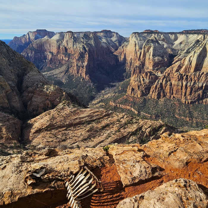 Near Deertrap Mountain Trail