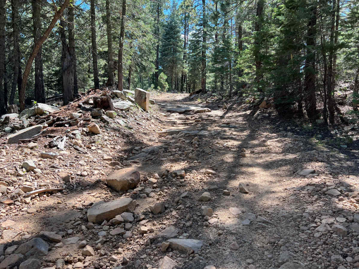 Rattlesnake Ridge trail photo