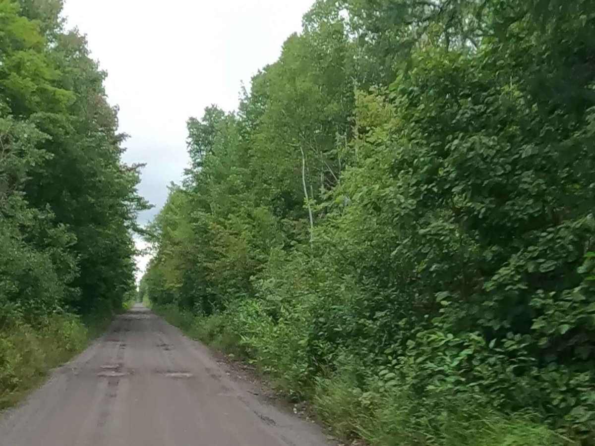 Soo Line Railway bed: ST17 / ORV Route B trail photo