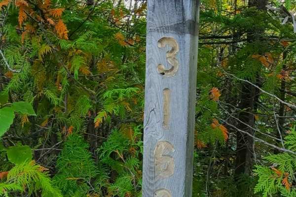 Old Castle Rock Trail - FS 3163 