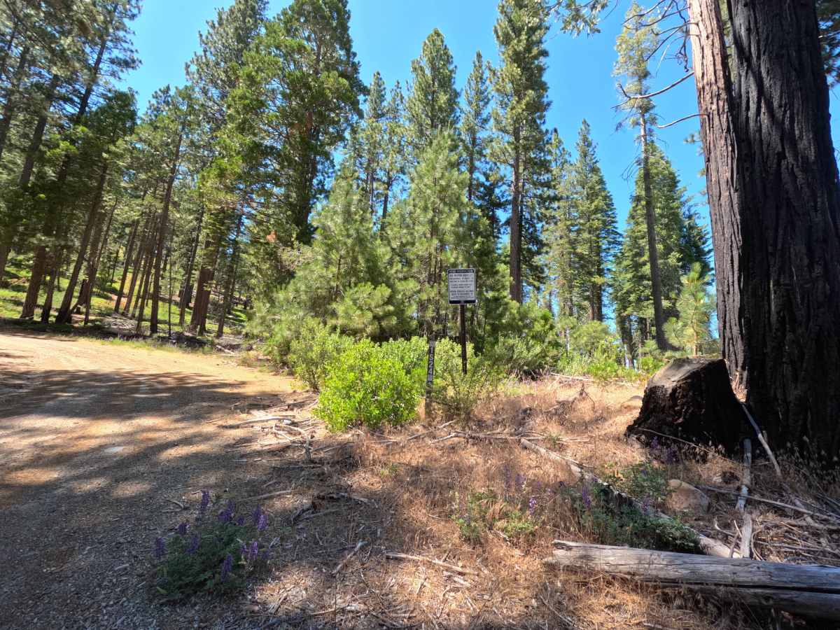 FS 1S24 trail photo