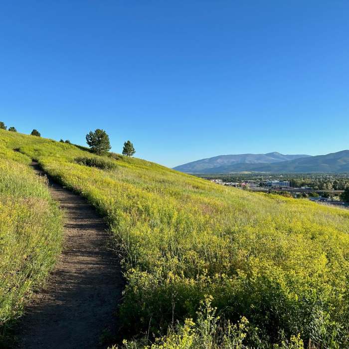 Near Bluebird Preserve Loop