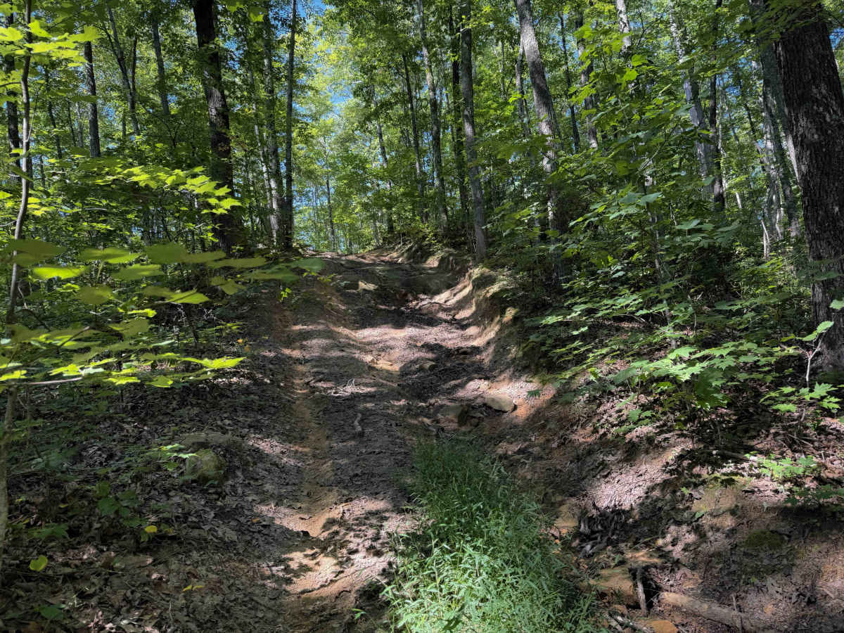Ridge Top Trail 32  trail photo