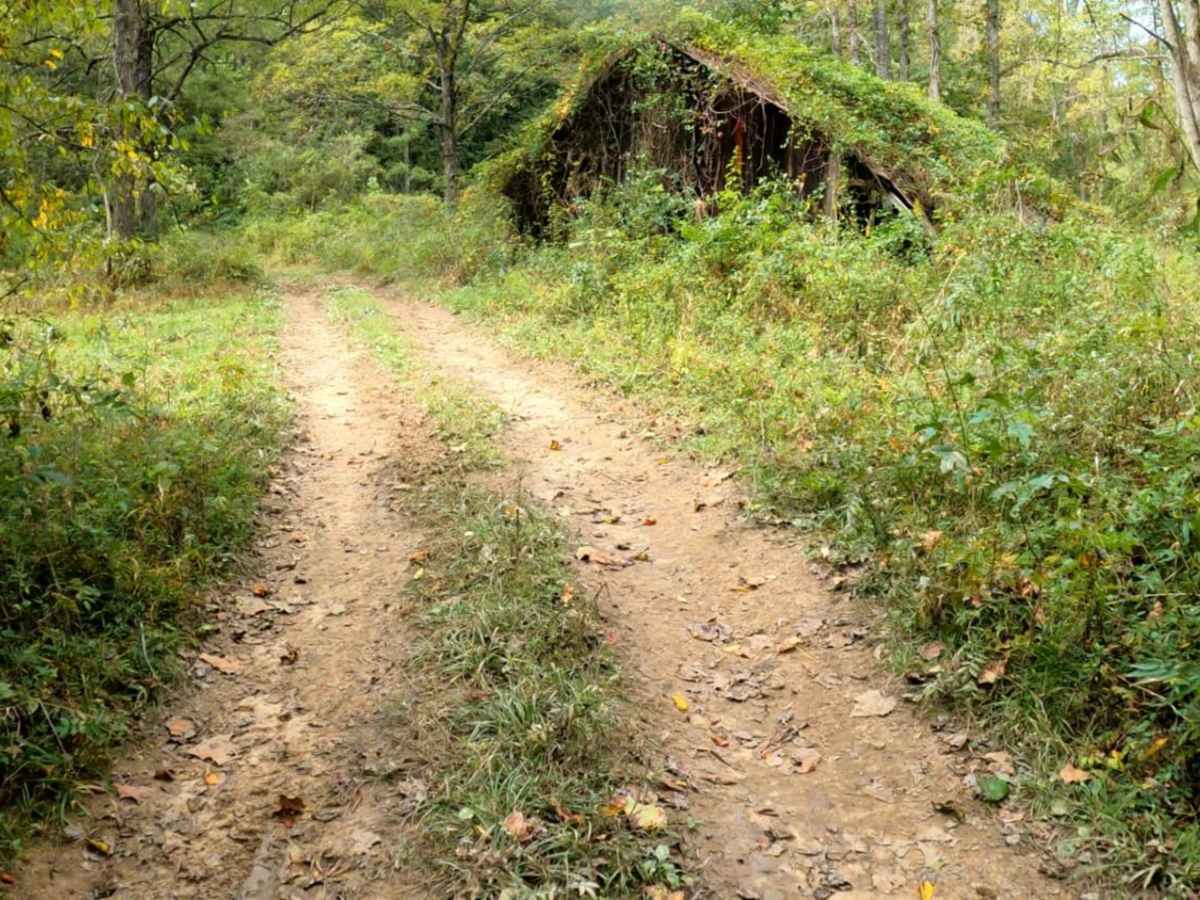 Cowen Creek trail photo