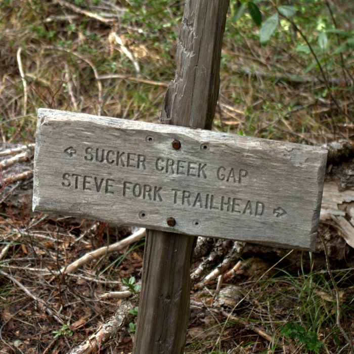 At the junction of the Steve Fork and Sucker Gap Trails Near Steve Fork Trail #905