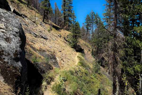 Red Devil Trail #1221