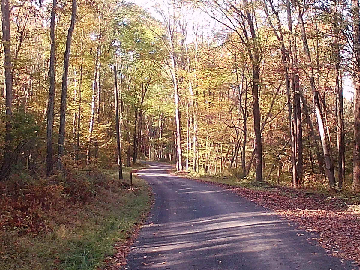 Decker Run Road photo 3