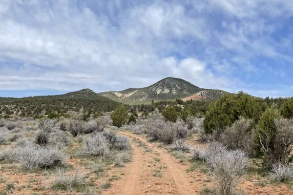 Mustang Knoll
