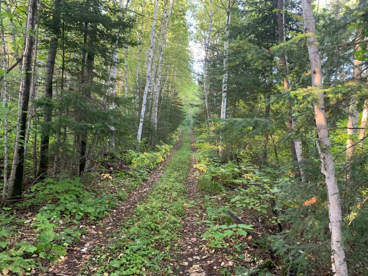 Frank Lake South Trail - FS 1885A photo 6