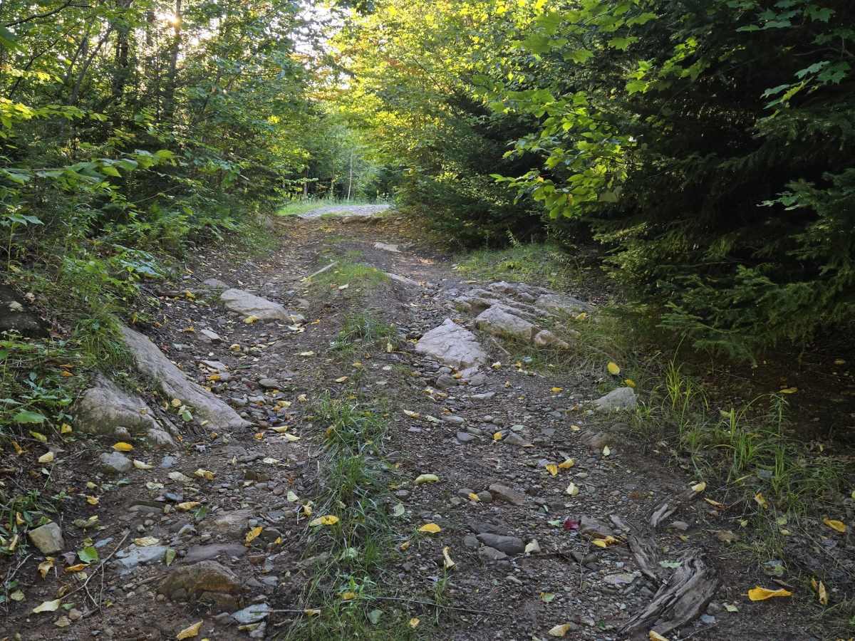 Pinstripe trail photo