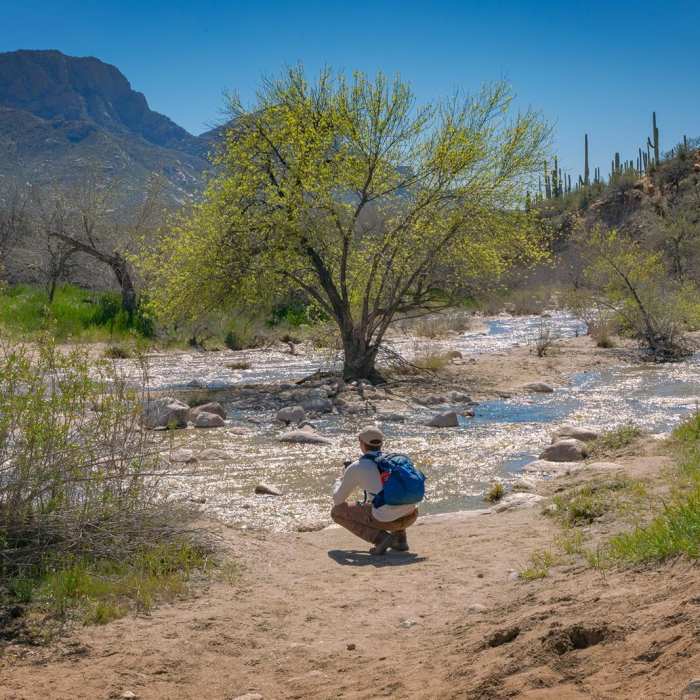 Near Sutherland Trail