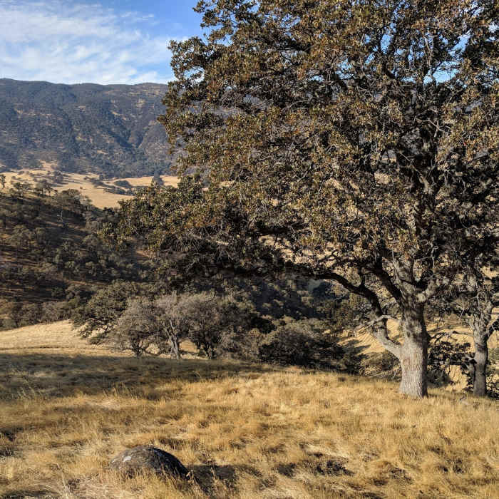 Near Miwok Trail / Hardy Canyon Trail Loop