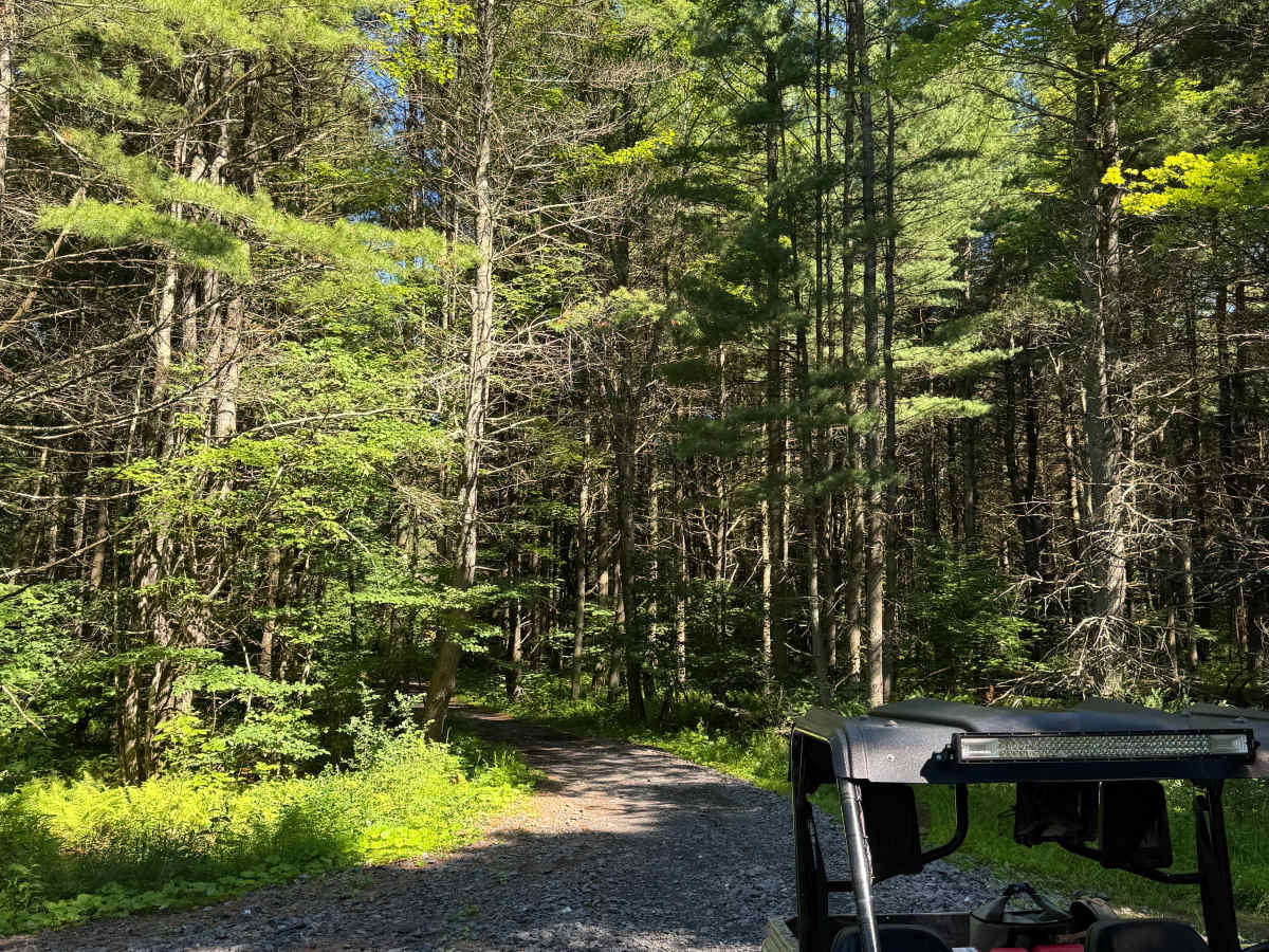 Play Pit Trail photo 6