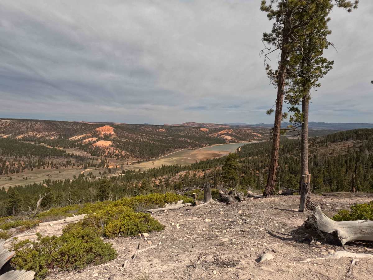 Special Spot - FS 33619 trail photo