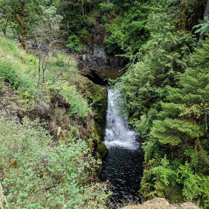 Lower falls on the Deschutes River. Near Deschutes Falls Park