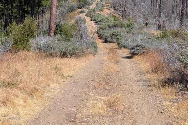 Donaldson Creek Road - FS 32N14