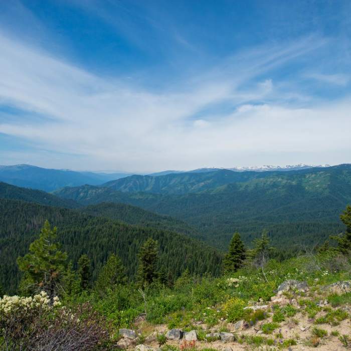 Near Shissler Peak Fire Tower