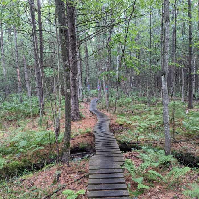 Near Lewis/Trow Mound Tour