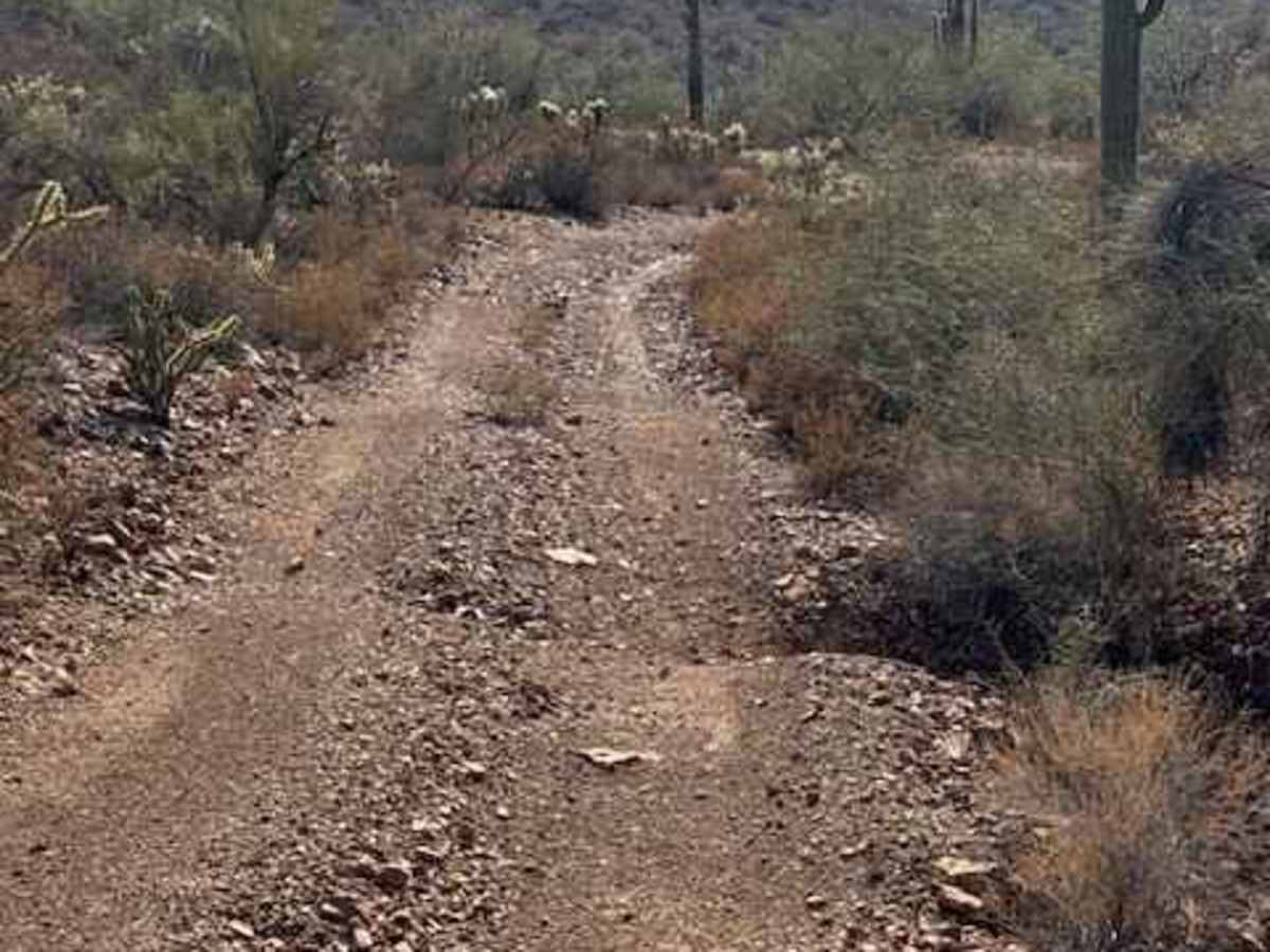 BLM 38070 photo 3