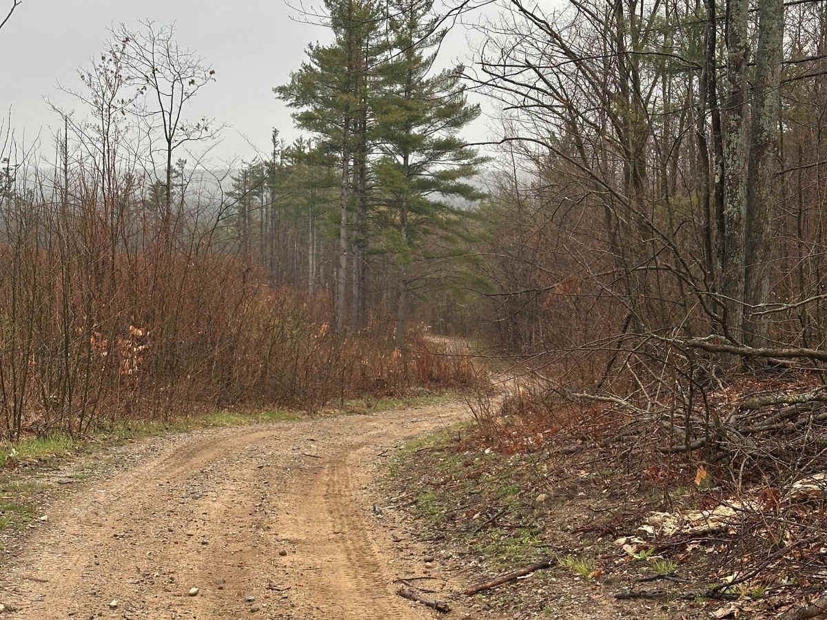 Hayesego Trail photo 5