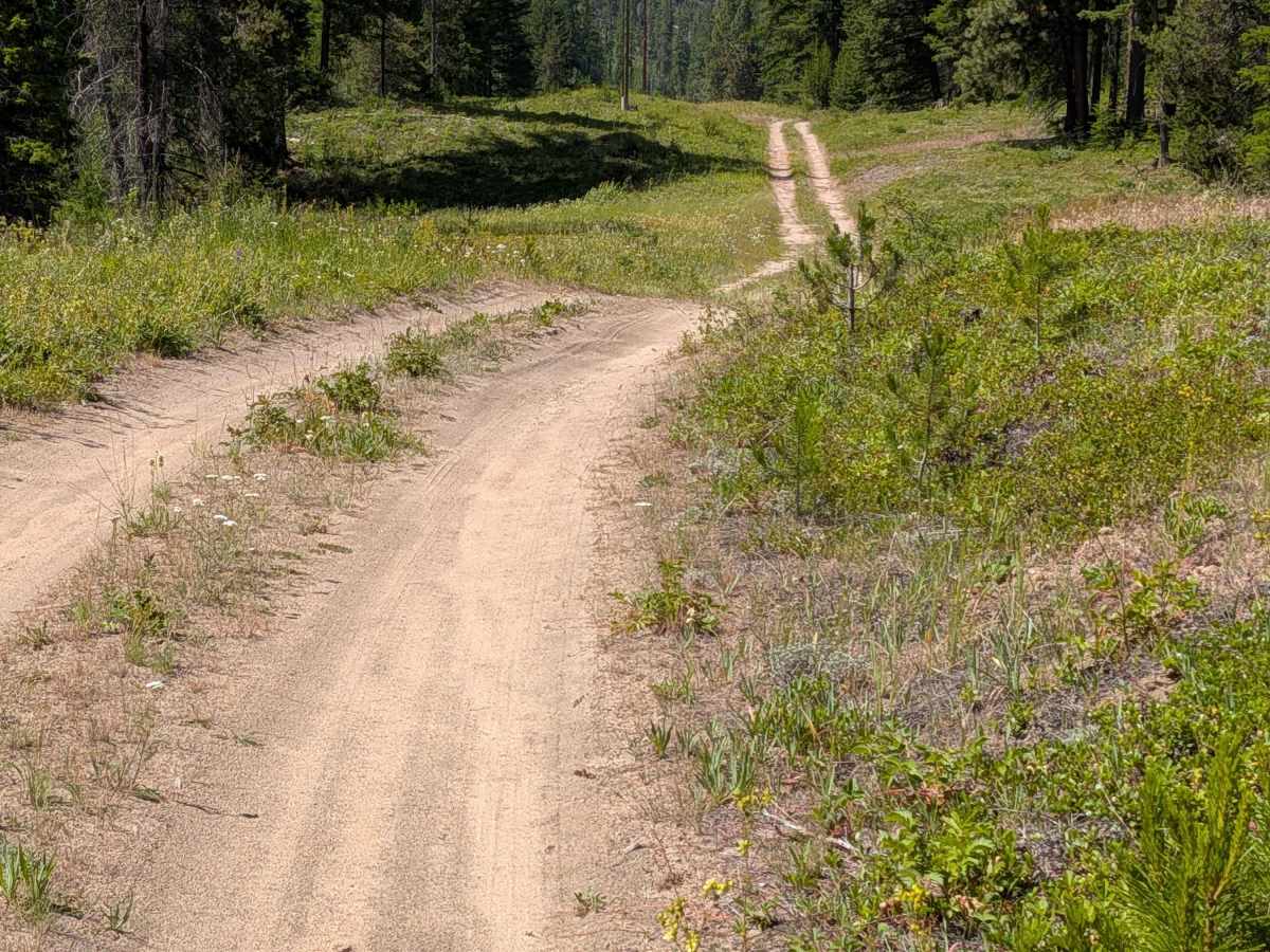 4100-810 trail photo