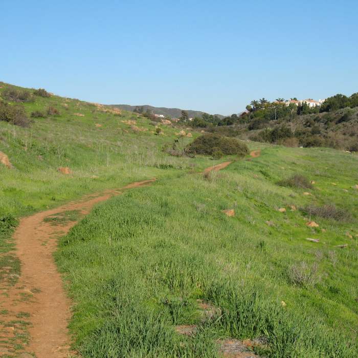 Near Los Penasquitos Canyon Trail