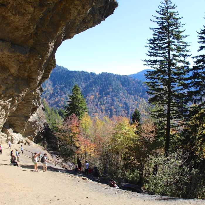 Alum Cave Bluff Near Alum Cave