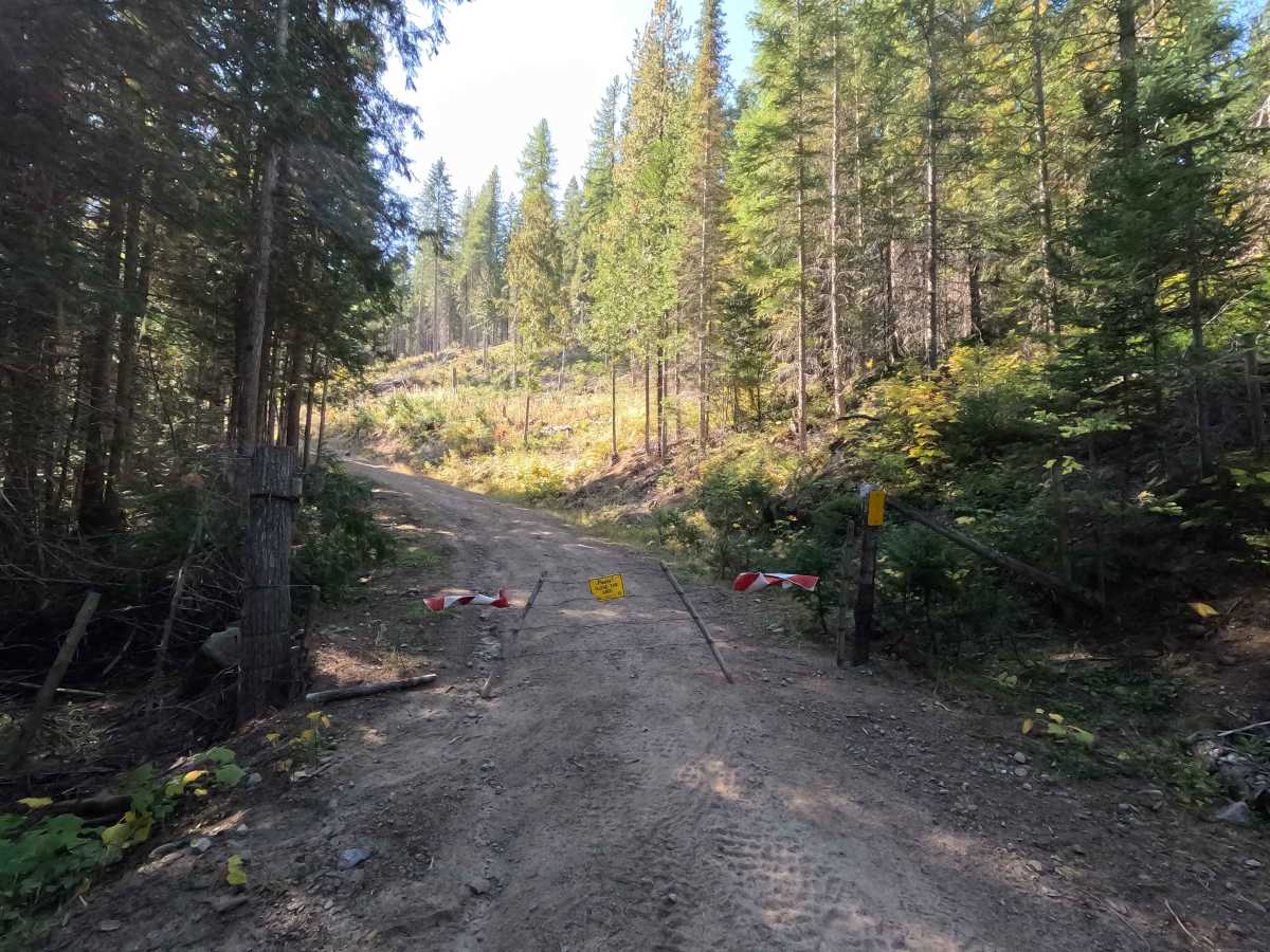 Little Twin Lakes Road - FS 7005300 photo 5