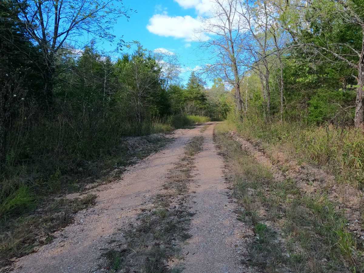 Taum Sauk Cemetery - RCR 205 photo 3