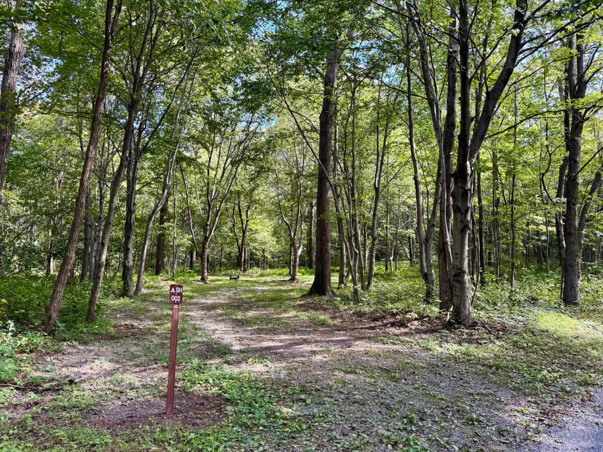Bark Road photo 2