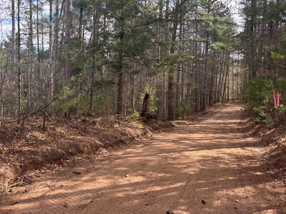 Nauke Road Trail photo 3
