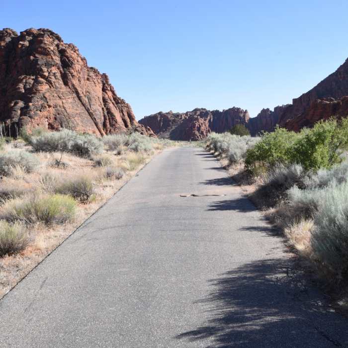 Near Whiptail Trail