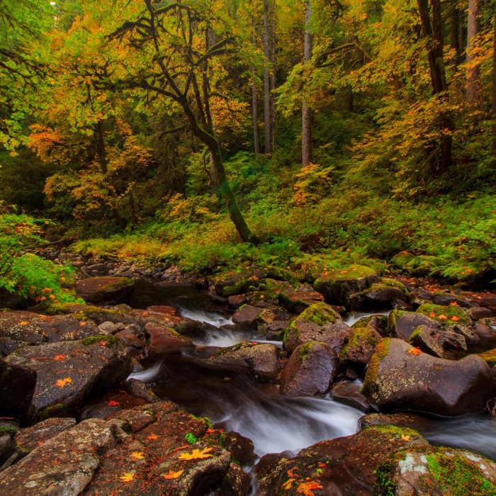 Near Kentucky Falls Hike