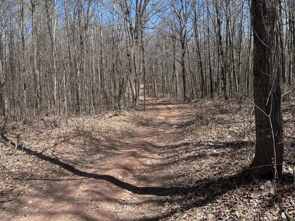Churchill Lake Trail photo 5