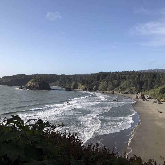 Near Trinidad Head Trail