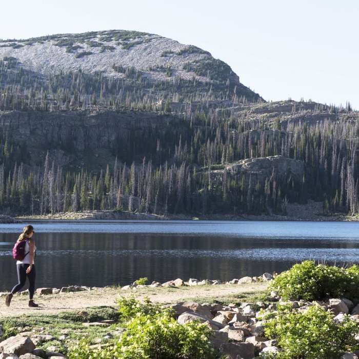 Near Clyde Lake Loop
