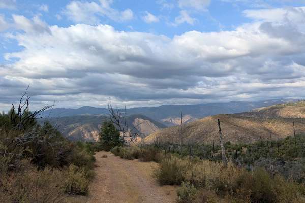 Ponderosa Way