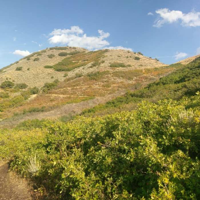 Near South Mountain Overlook Trail