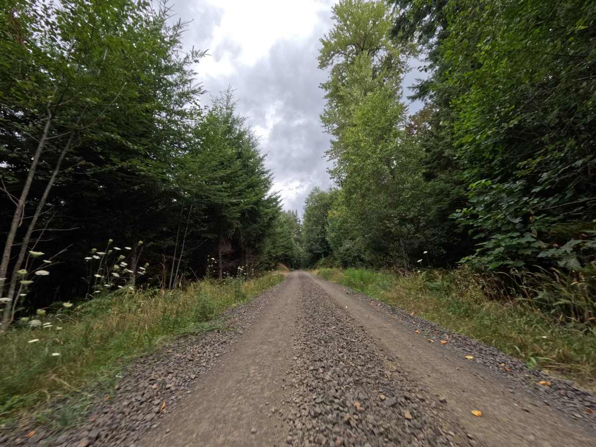 W-550 trail photo