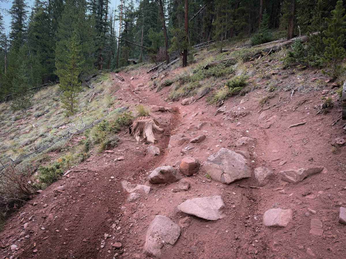 Bear Creek Trail North - FS 415 photo 6