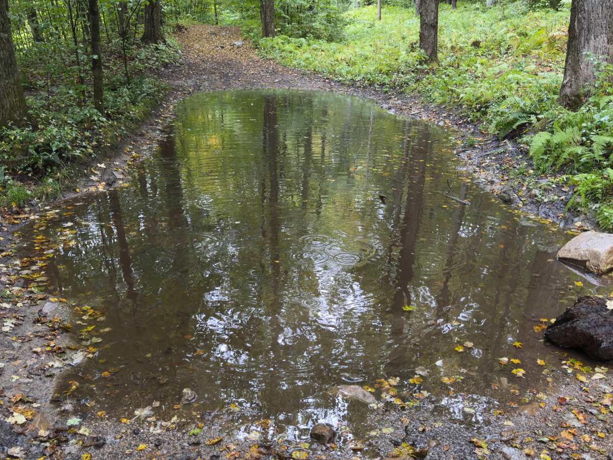 Benedict Trail photo 2