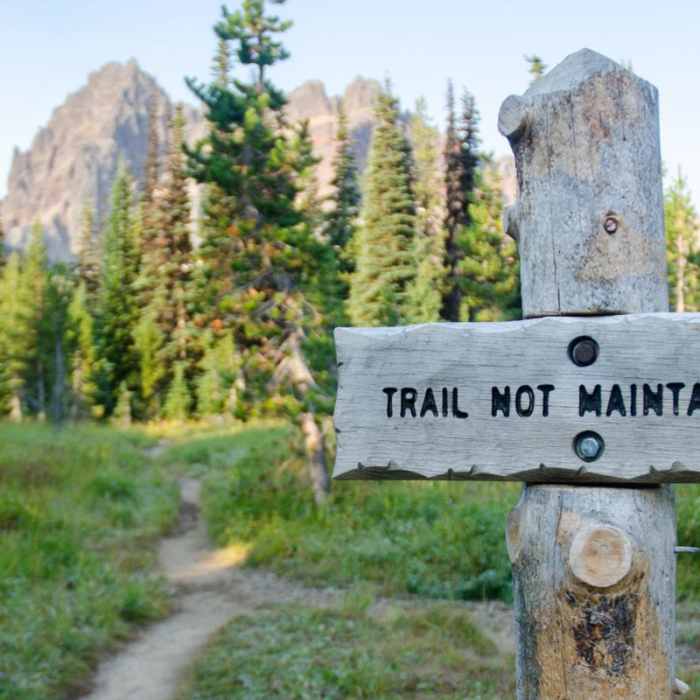 Near Canyon Creek Meadows Near Canyon Creek Meadows