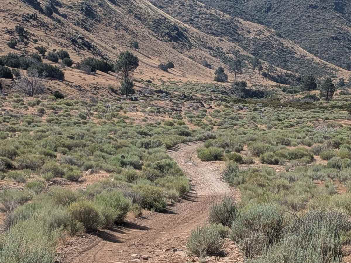Little Dry Meadow photo 6