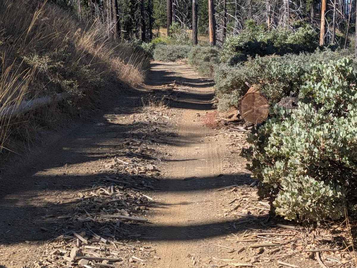 Chanchelulla Gulch Road - FS 30N15  photo 5