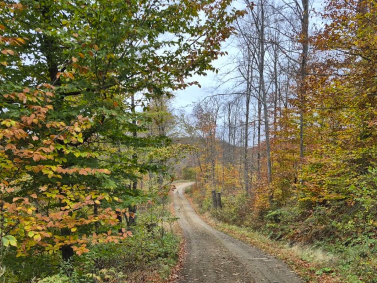 Hatchery Brook Road photo 4
